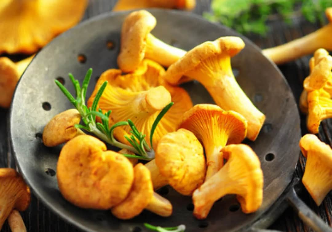 Jakie przyprawy do kurek? Odkryj smaki, które zachwycą!